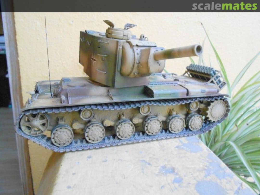 View album, image #1 View album, image #1