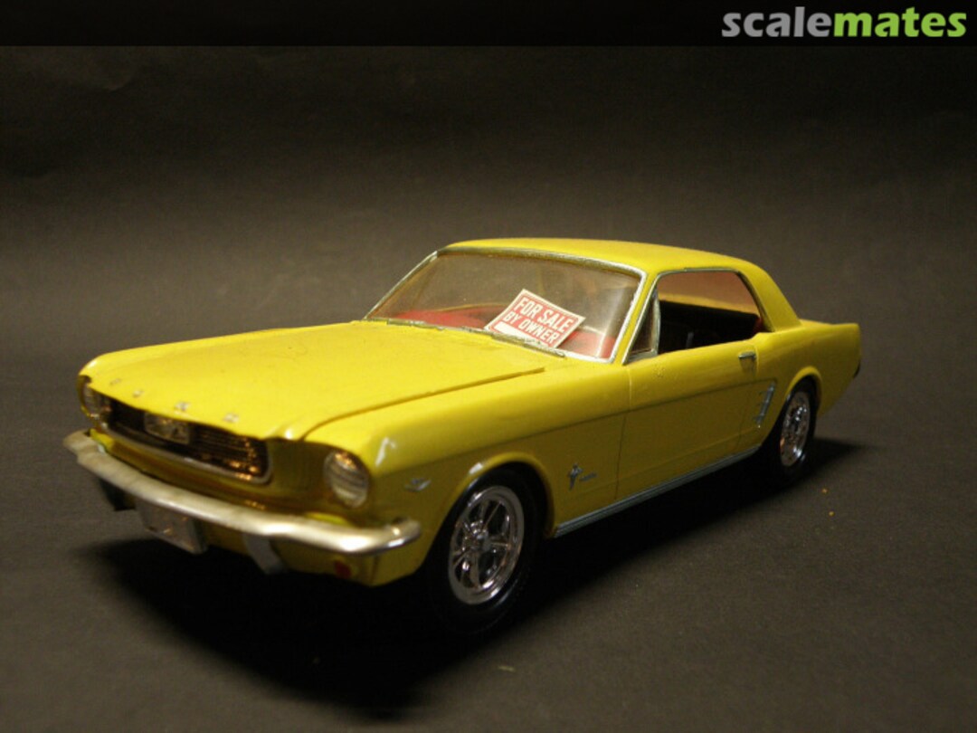 View album, image #1