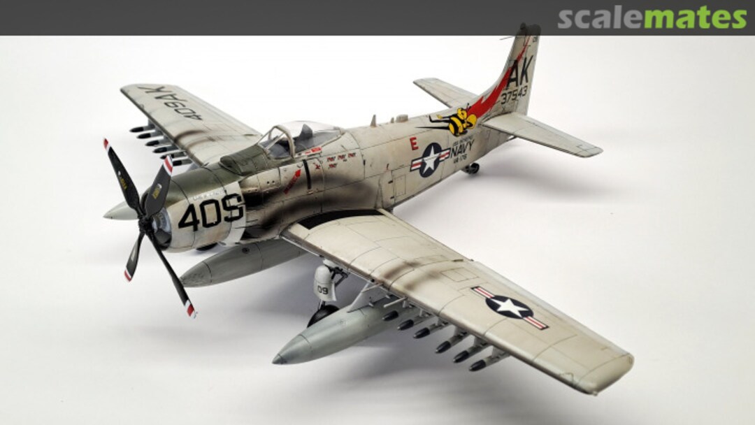 View album, image #1 View album, image #1