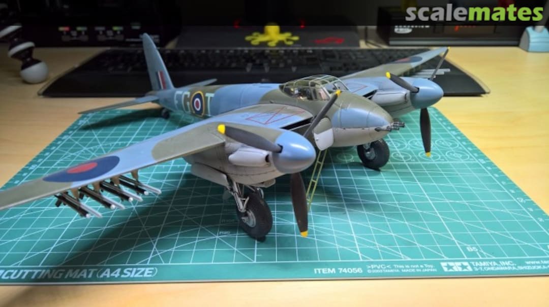 View album, image #16 View album, image #16