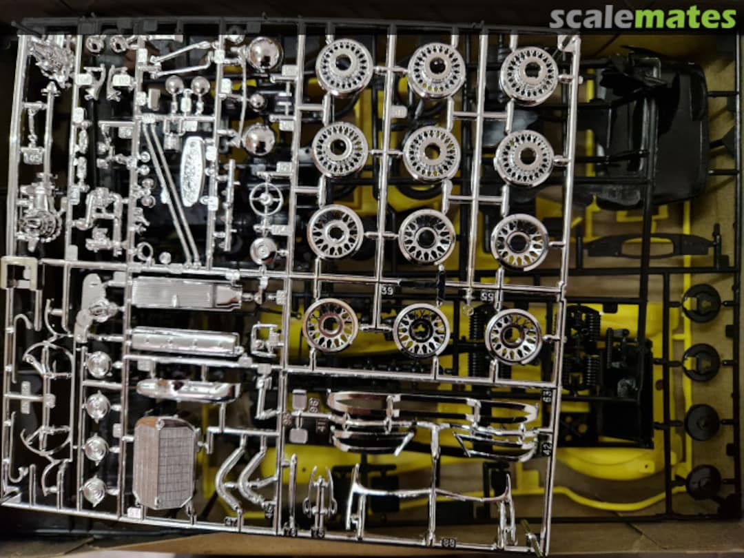 View album, image #1