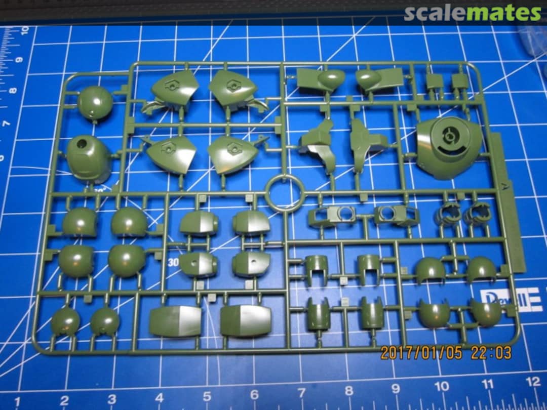 View album, image #1 View album, image #1