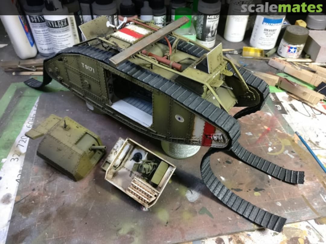 View album, image #15 View album, image #15