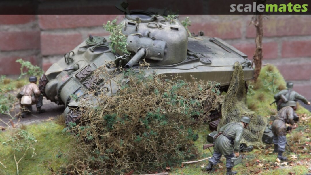 View album, image #1