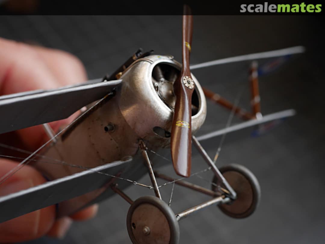 View album, image #99 View album, image #99