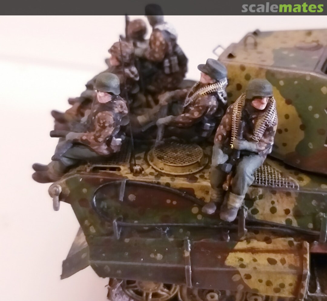 View album, image #12 View album, image #12