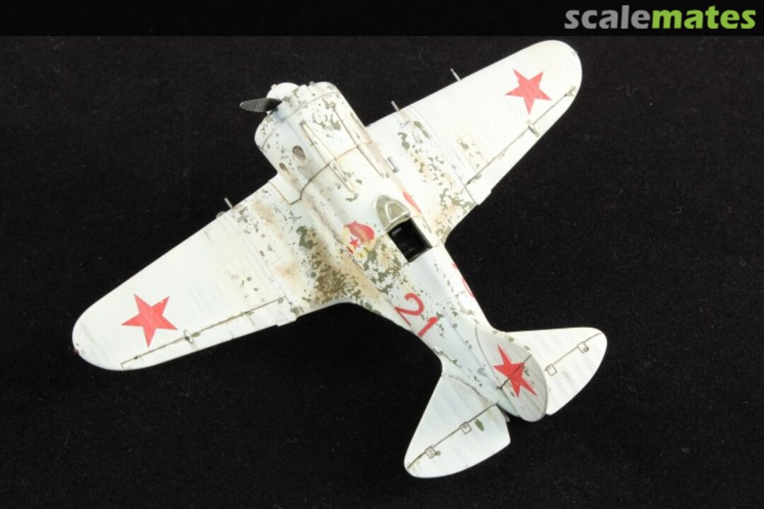 View album, image #1 View album, image #1