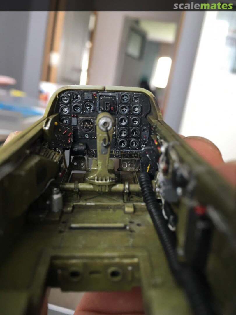 View album, image #1