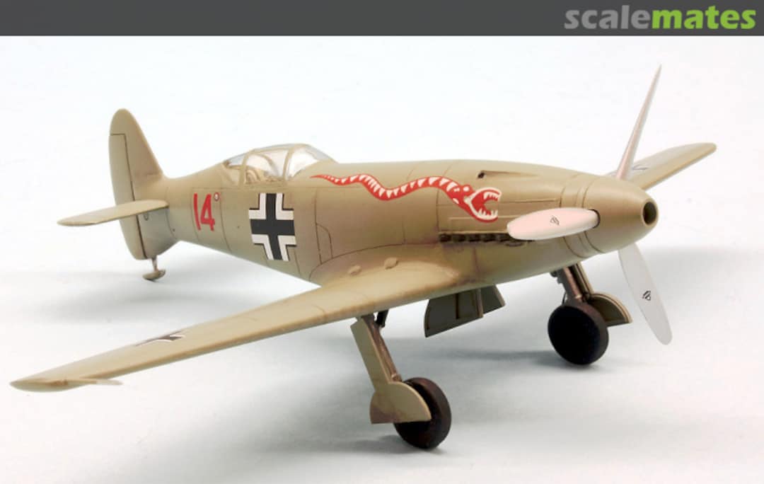 View album, image #20 View album, image #20