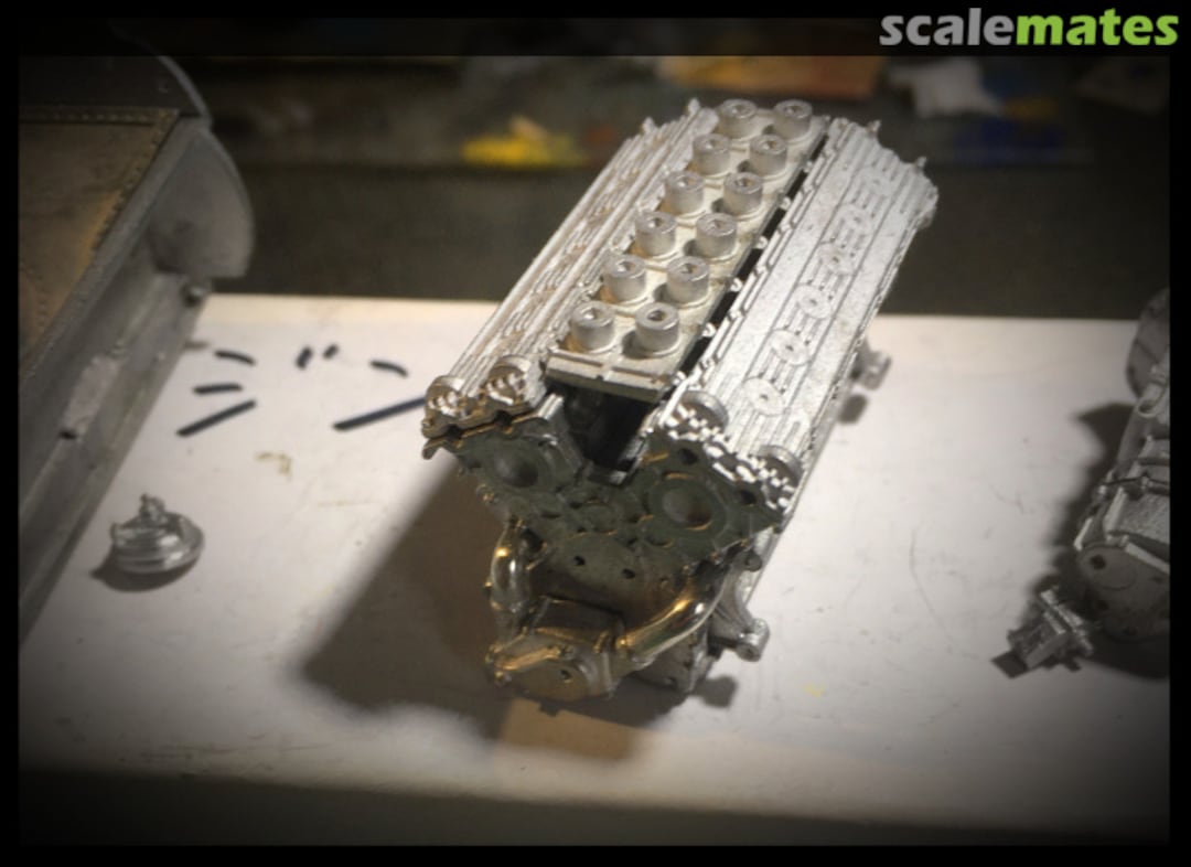 View album, image #1 View album, image #1