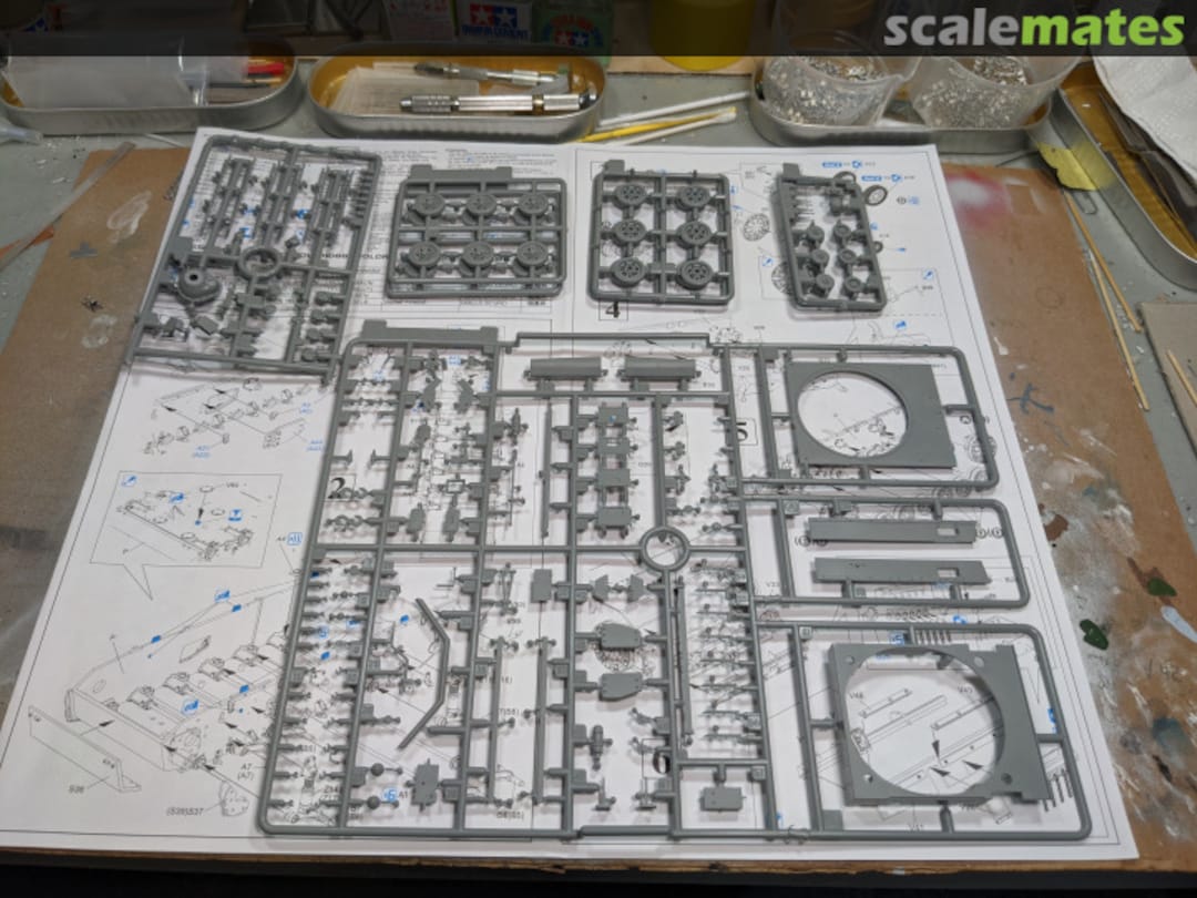 View album, image #1