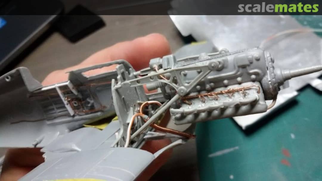 View album, image #1 View album, image #1