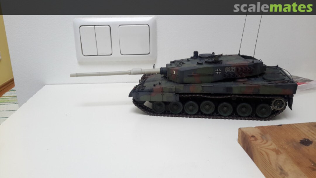 View album, image #1 View album, image #1