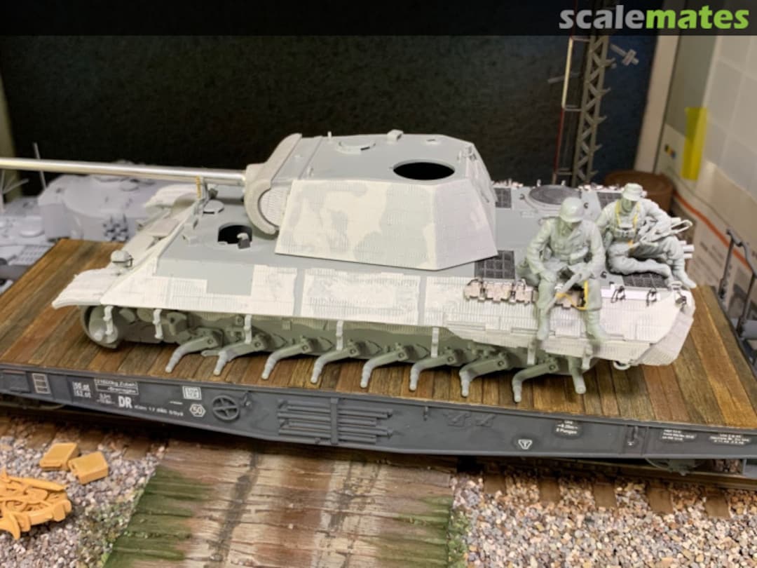 View album, image #1 View album, image #1