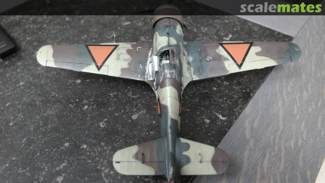 View album, image #11 View album, image #11