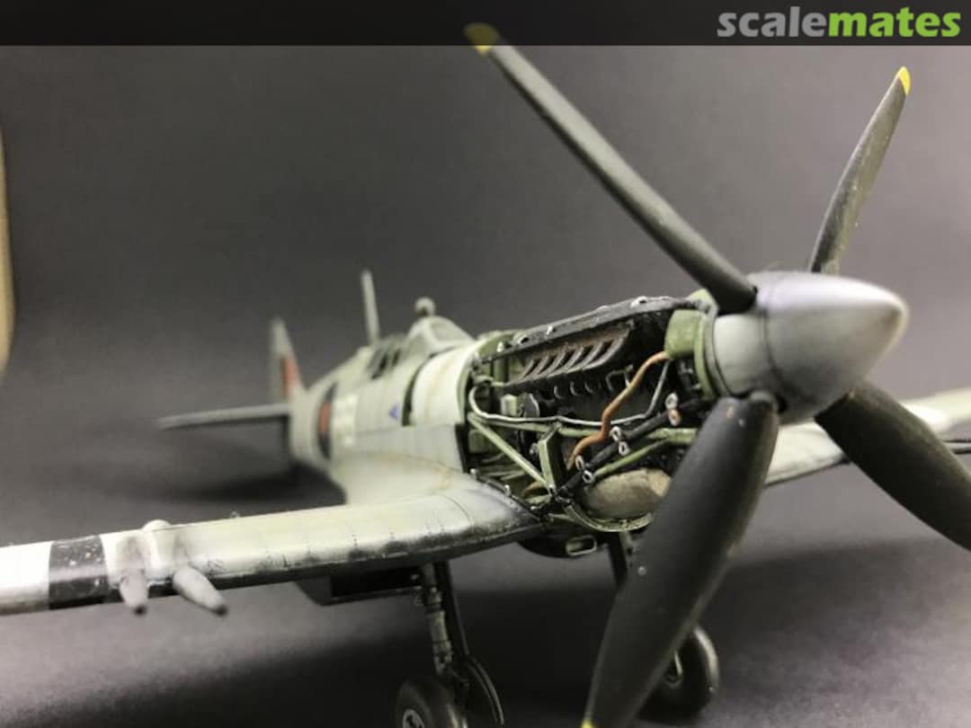 View album, image #1 View album, image #1