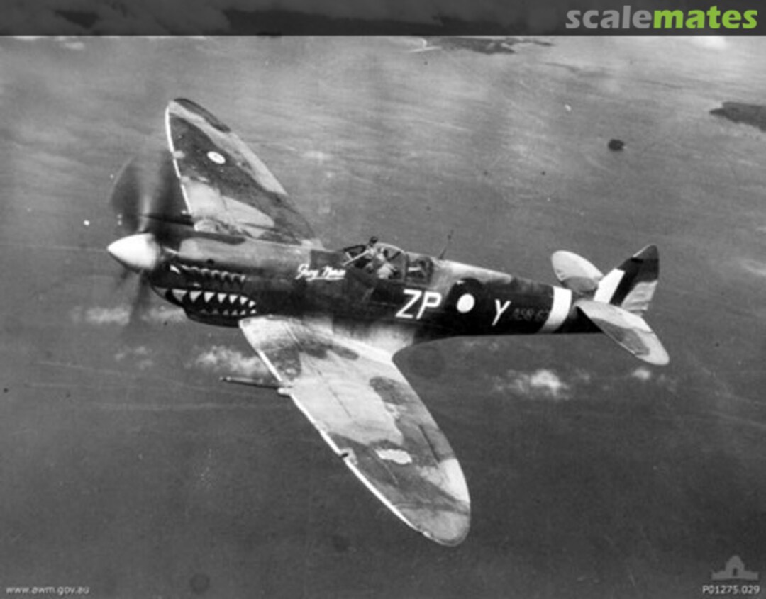 View album, image #5