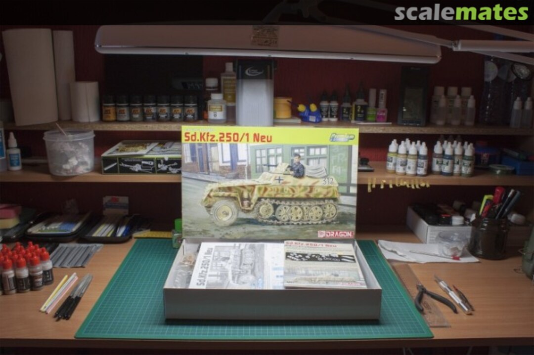 View album, image #1 View album, image #1