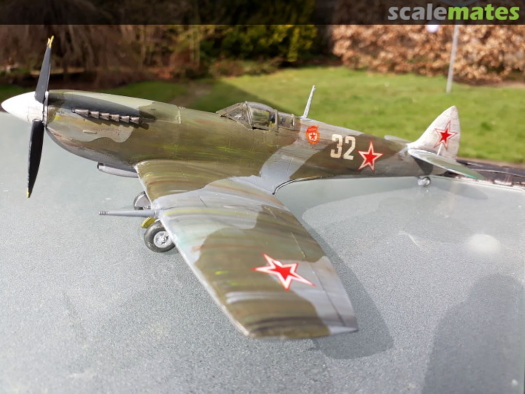 View album, image #1 View album, image #1