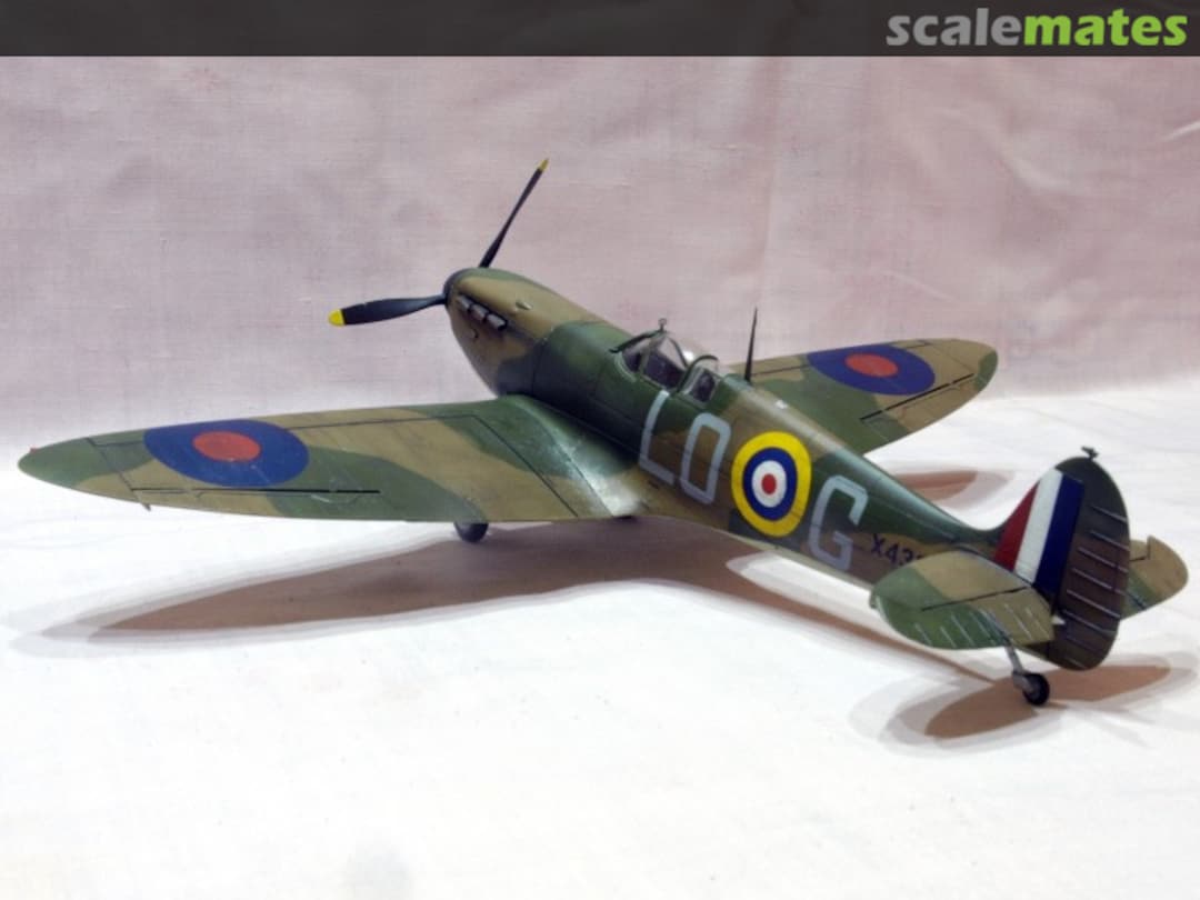 View album, image #1 View album, image #1