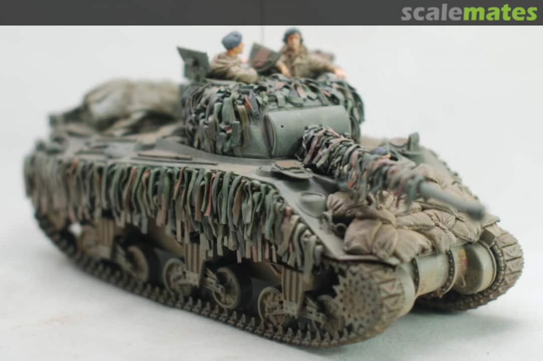 View album, image #1 View album, image #1