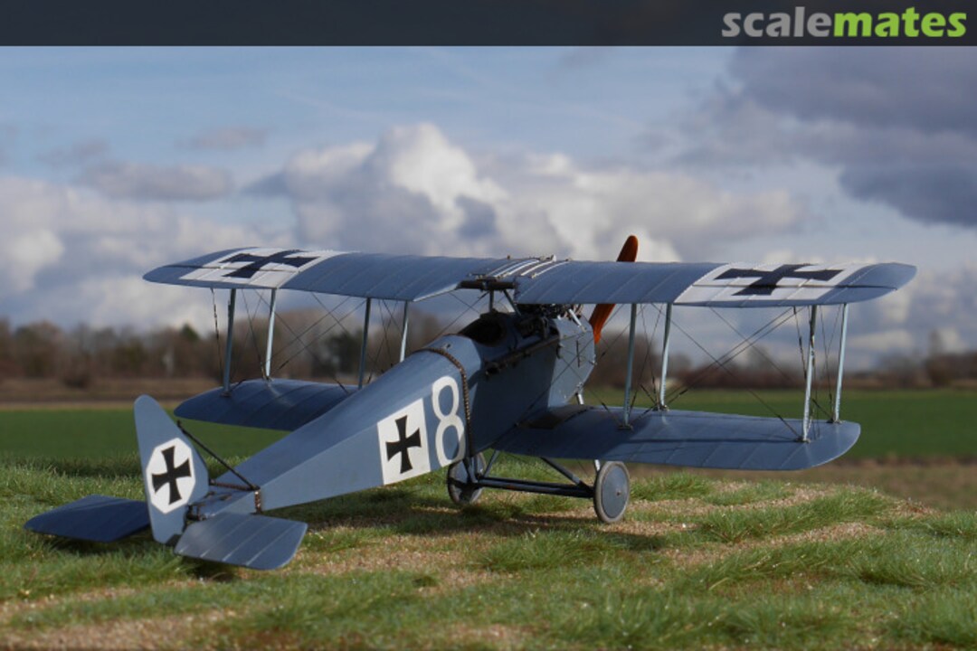 View album, image #1 View album, image #1