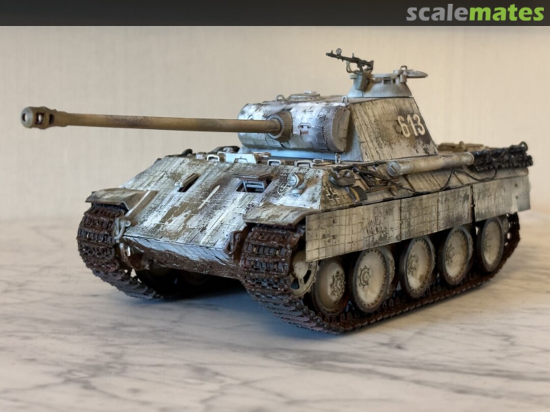 View album, image #12