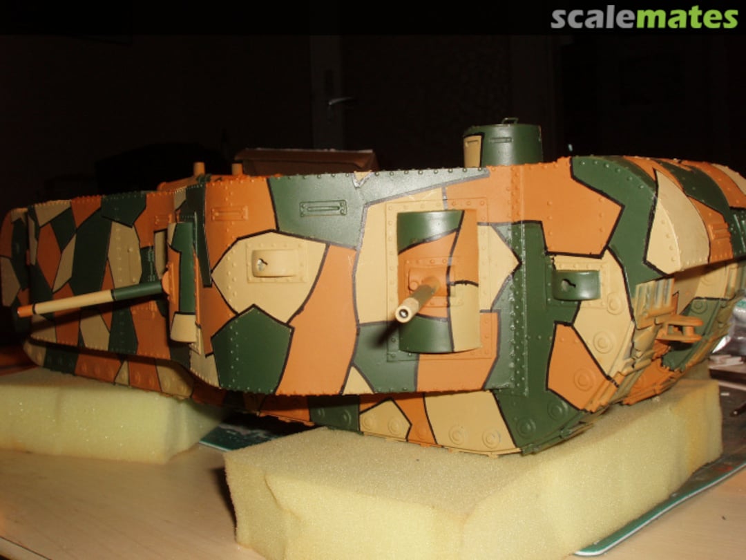 View album, image #1 View album, image #1