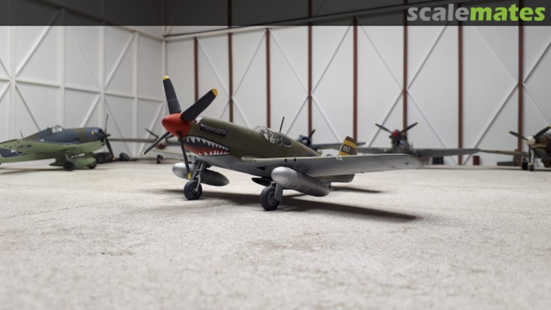 View album, image #1 View album, image #1