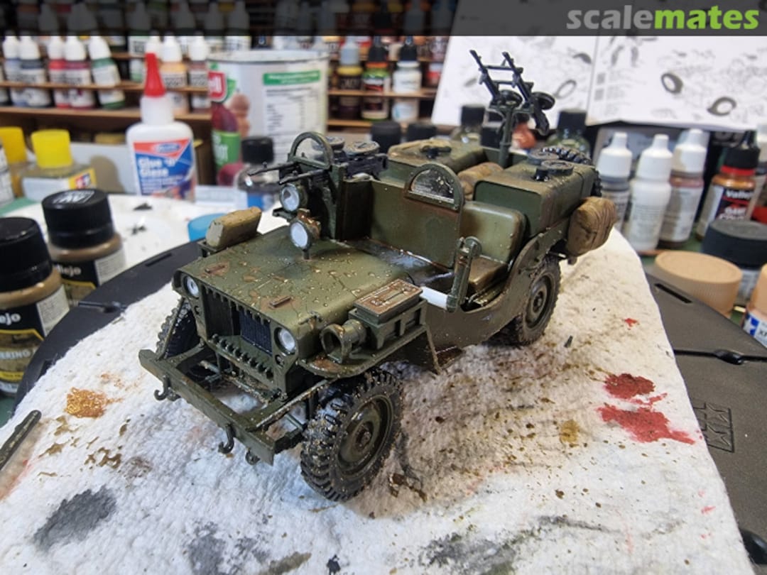 View album, image #15