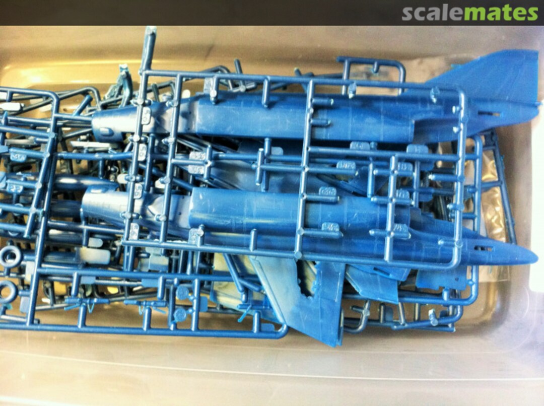 View album, image #1 View album, image #1