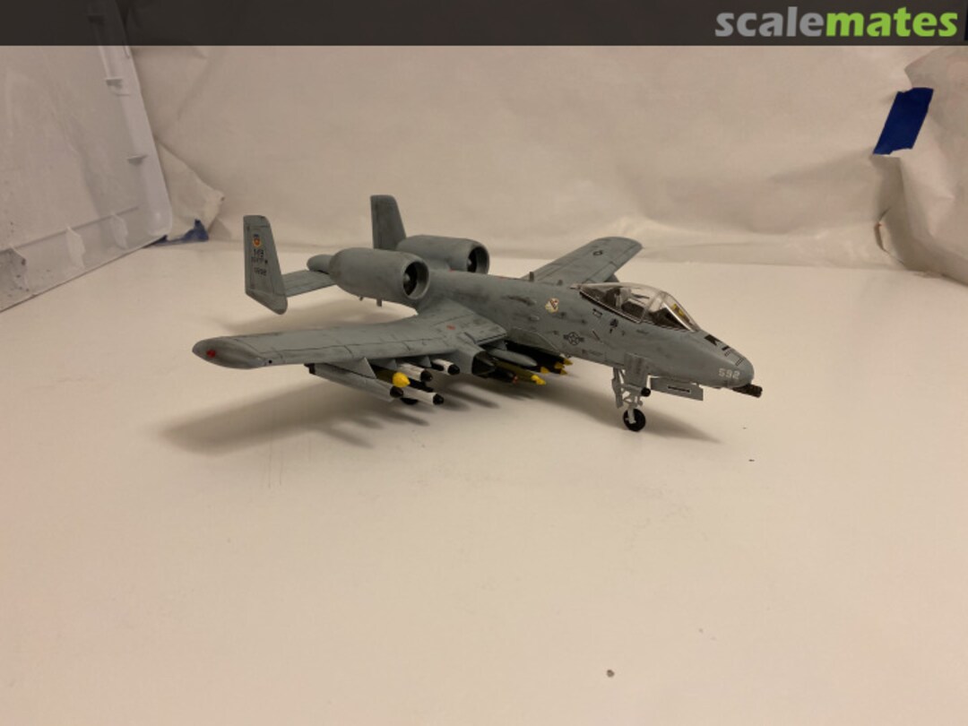 View album, image #2