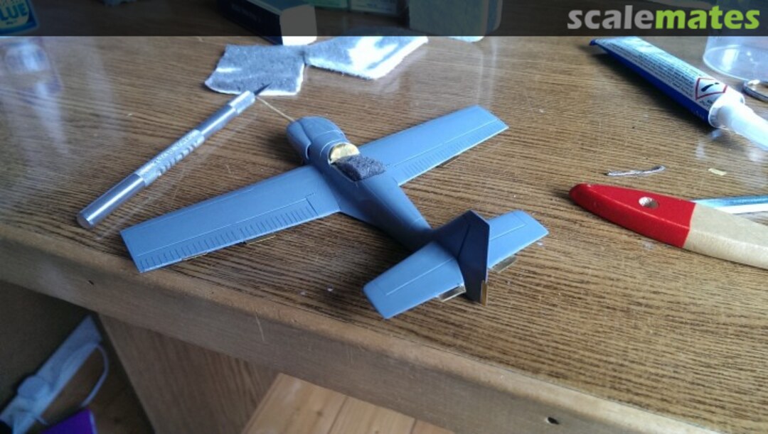 View album, image #13 View album, image #13