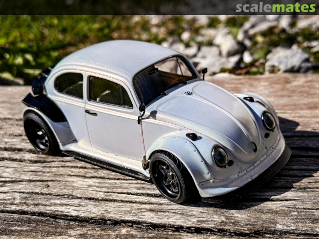 View album, image #8 View album, image #8