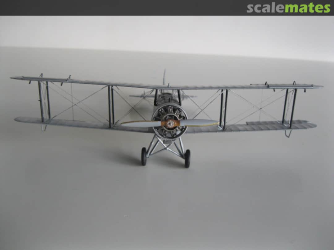 View album, image #1