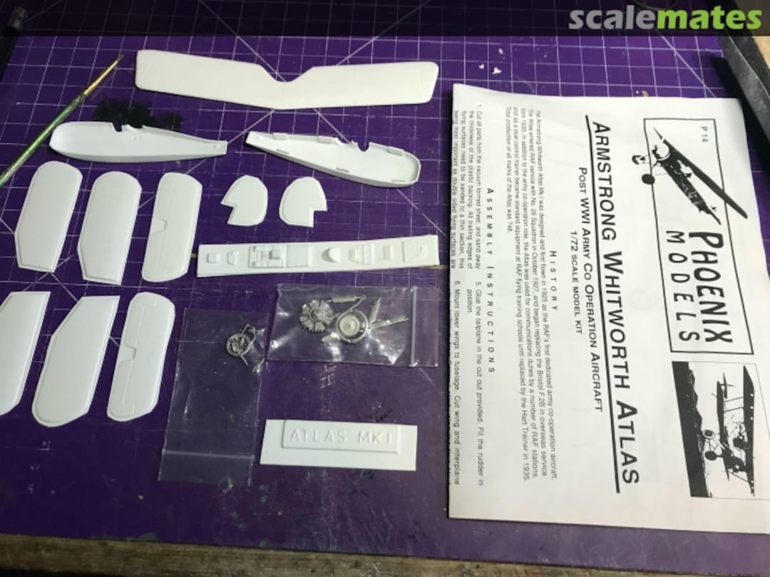 View album, image #1 View album, image #1