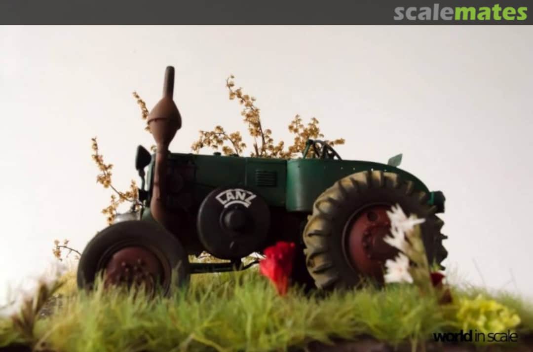 View album, image #30 View album, image #30