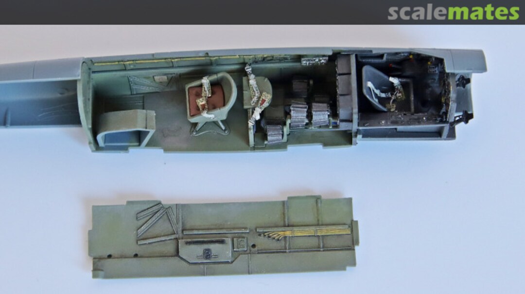 View album, image #1 View album, image #1