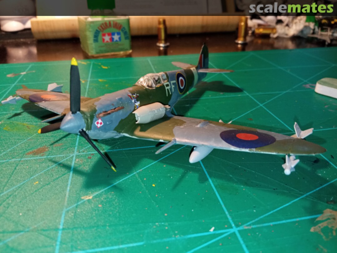 View album, image #7 View album, image #7