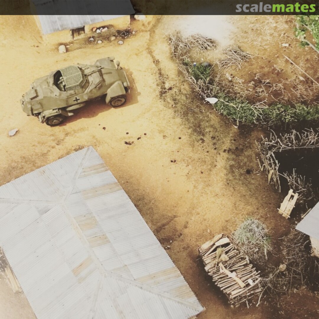 View album, image #1 View album, image #1