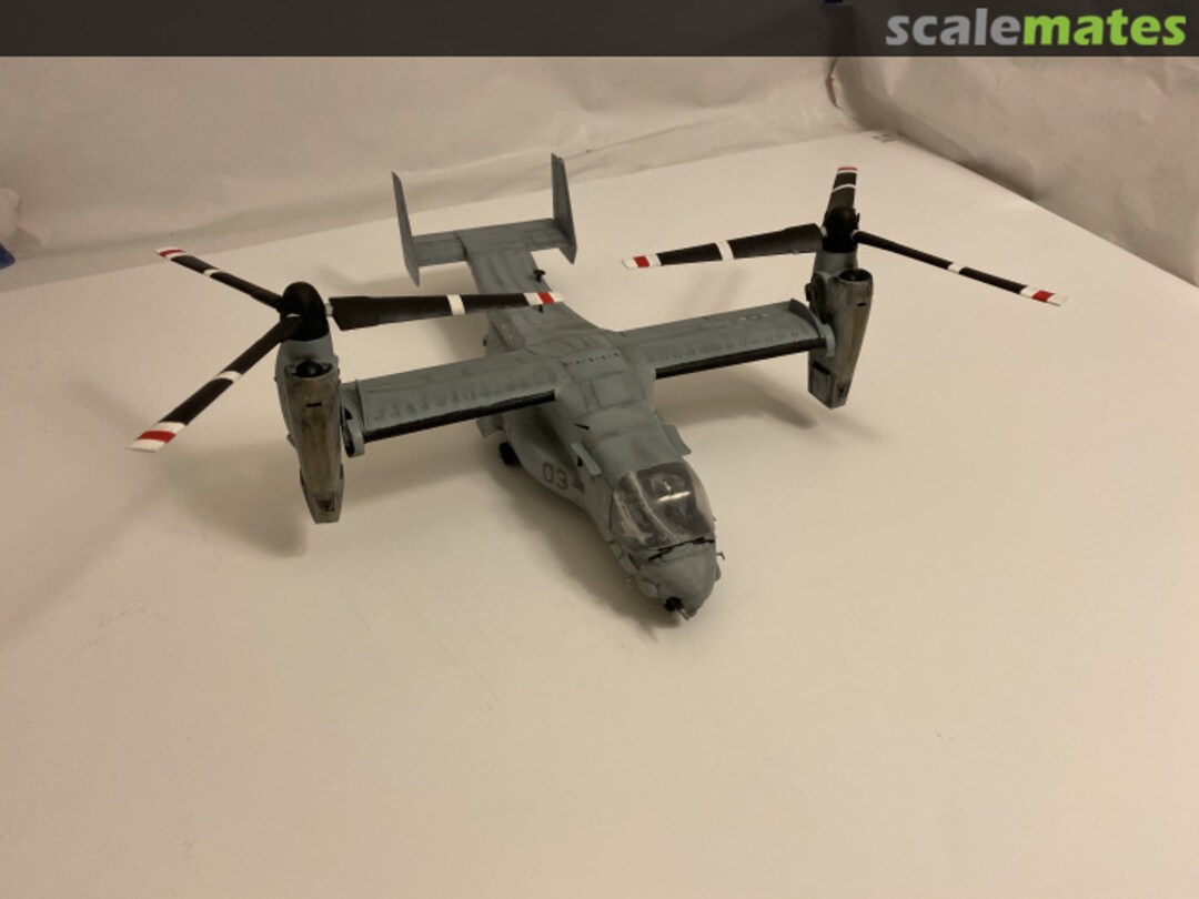 View album, image #10