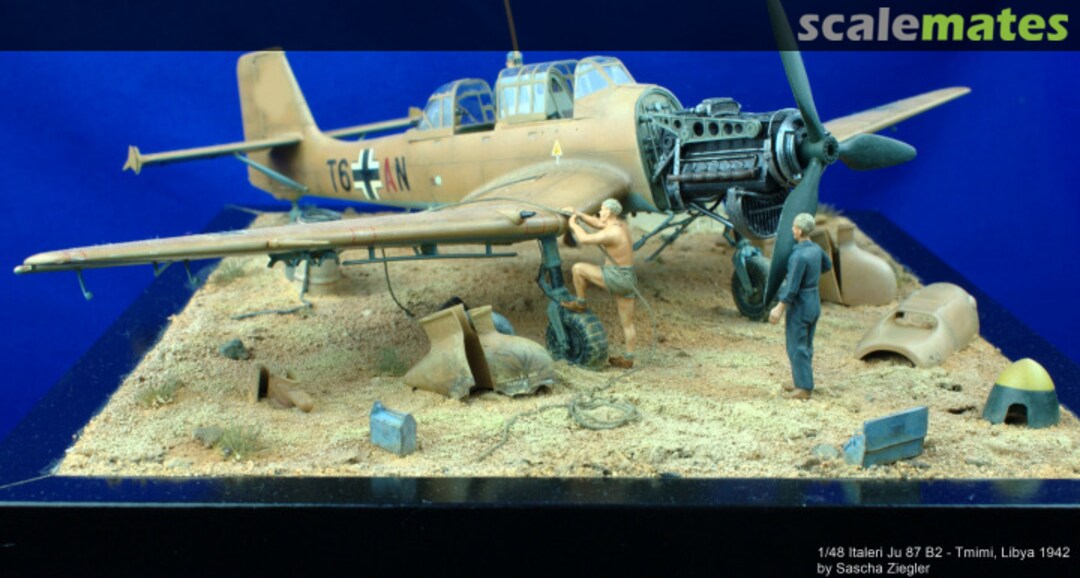 View album, image #40 View album, image #40