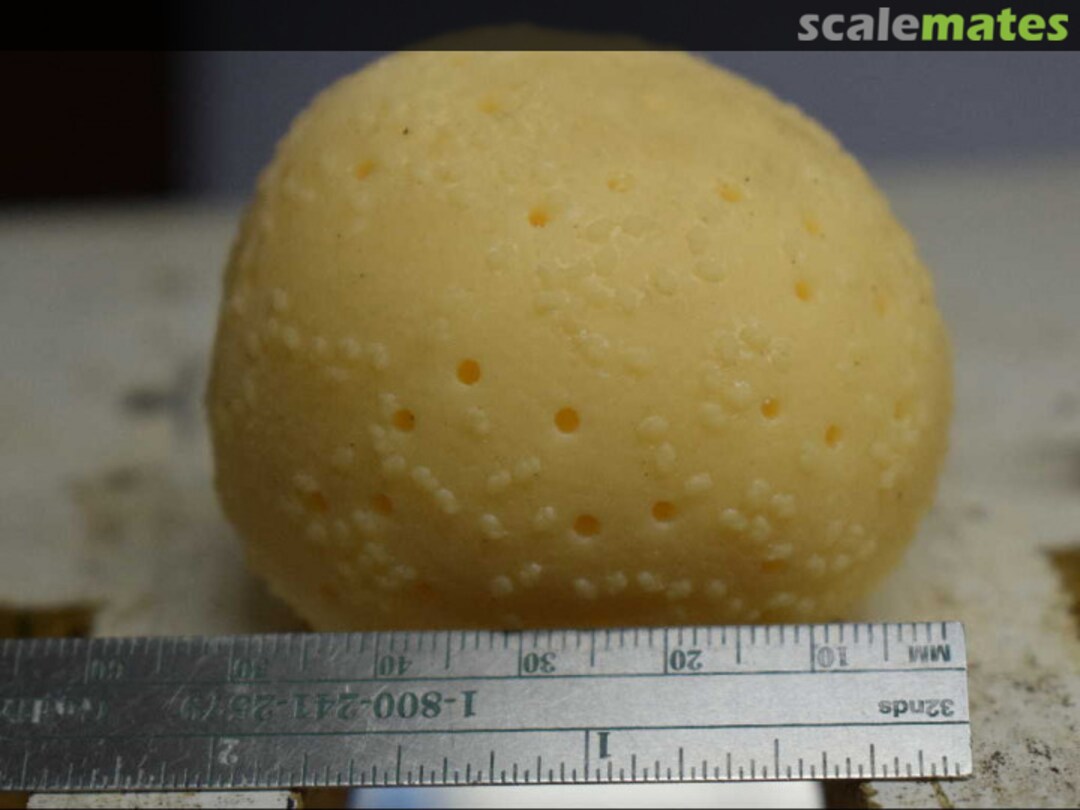 View album, image #1