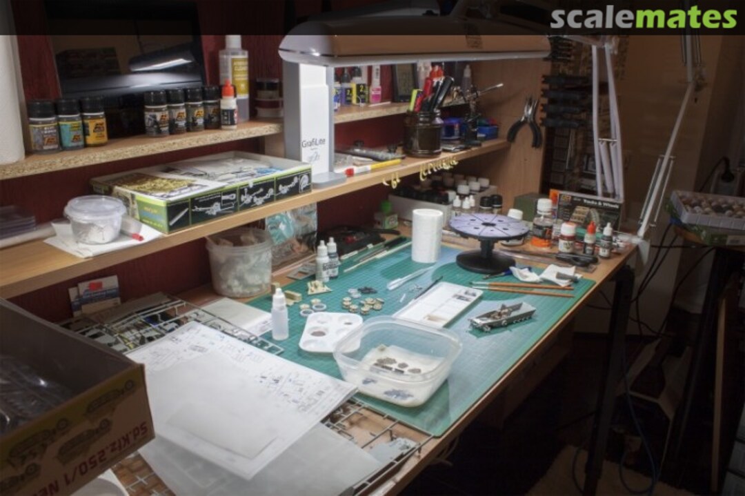 View album, image #1 View album, image #1