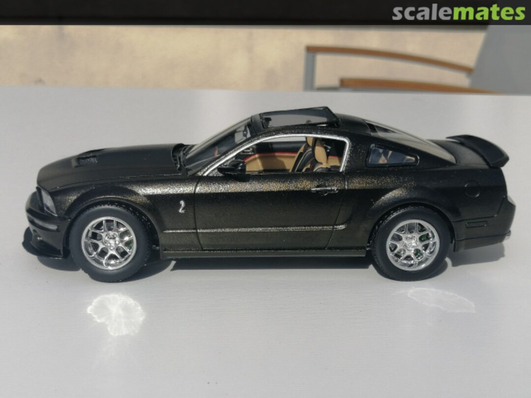 View album, image #1