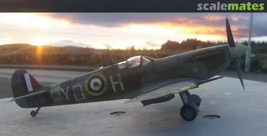 View album, image #1 View album, image #1