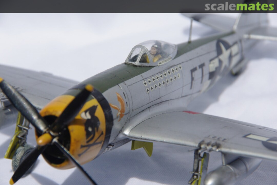 View album, image #12 View album, image #12