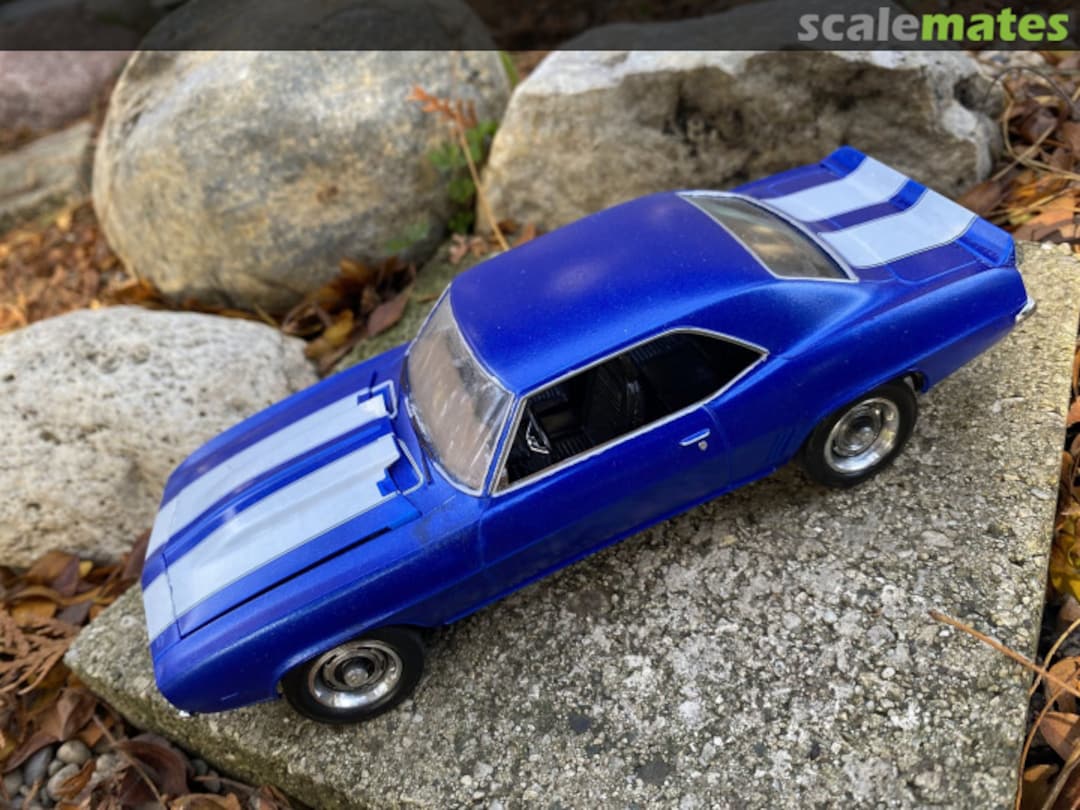 View album, image #8 View album, image #8