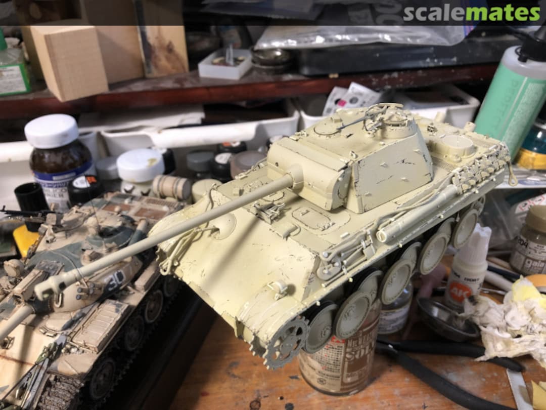 View album, image #3 View album, image #3