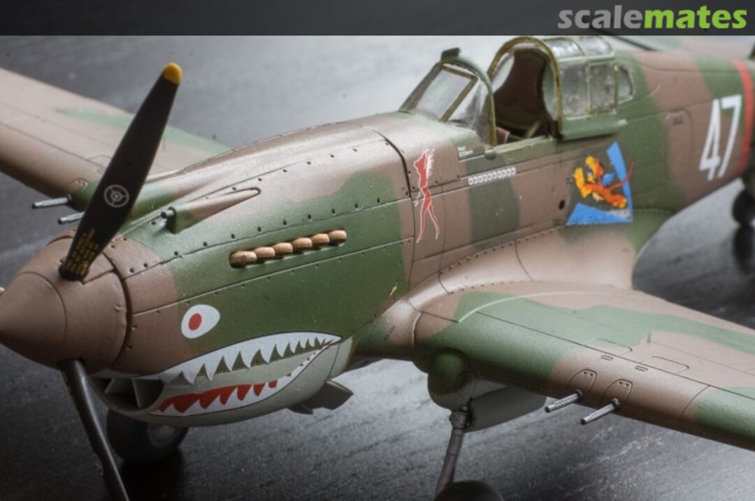 View album, image #1 View album, image #1